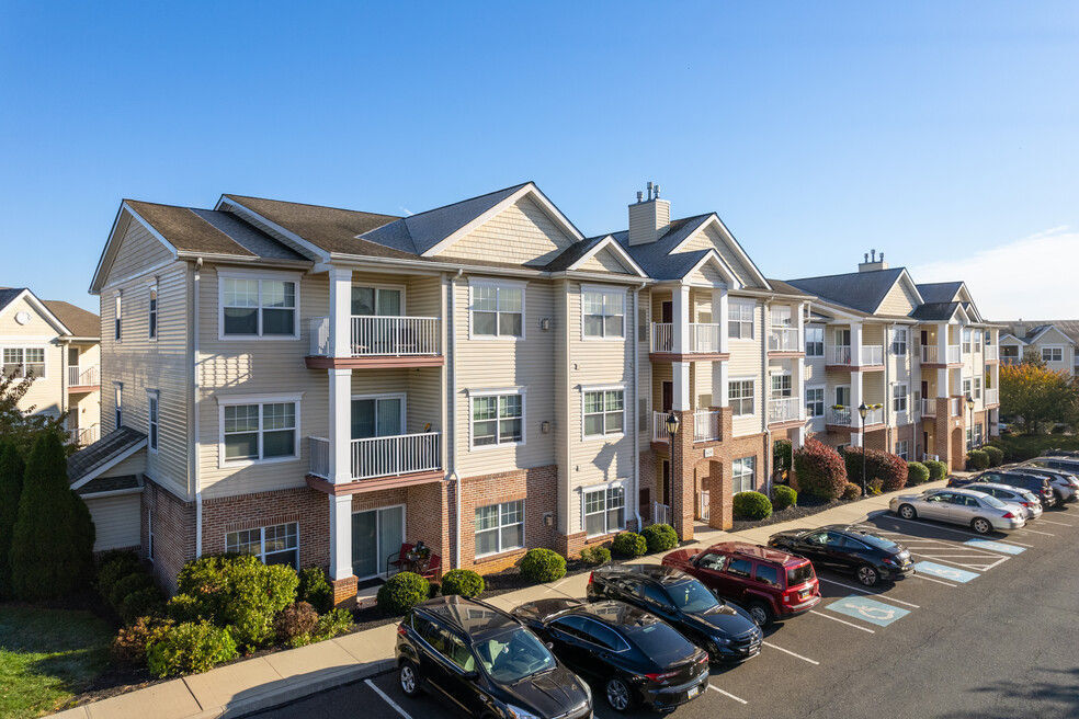 Trexler Park by OneWall photo 5