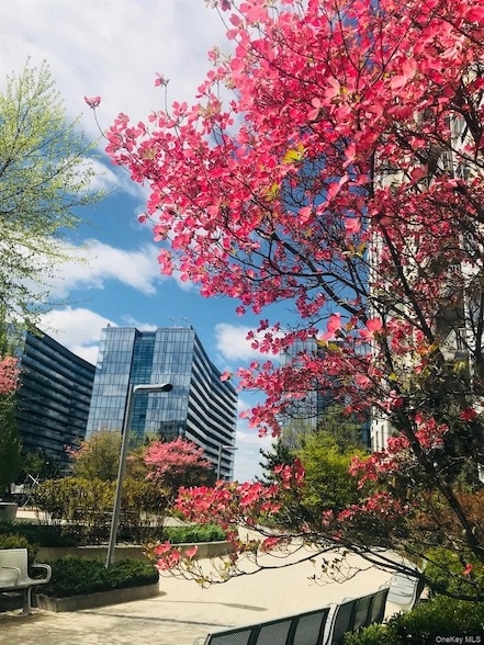 Primary Photo - 131-03 40th Rd