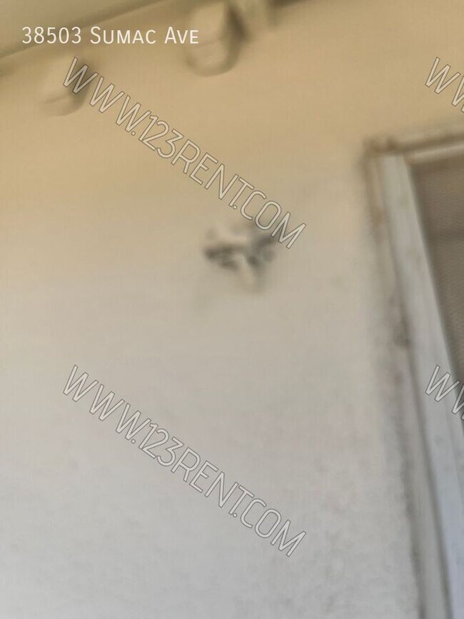 Foto del edificio - 38503 Sumac Ave