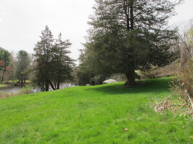 Lush yard with pond to the left - 106 Wildwood Rd