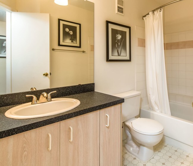 Marina Landing Apartments Orlando, FL