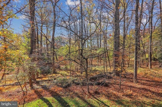 Foto del edificio - 1511 Hugo Cir