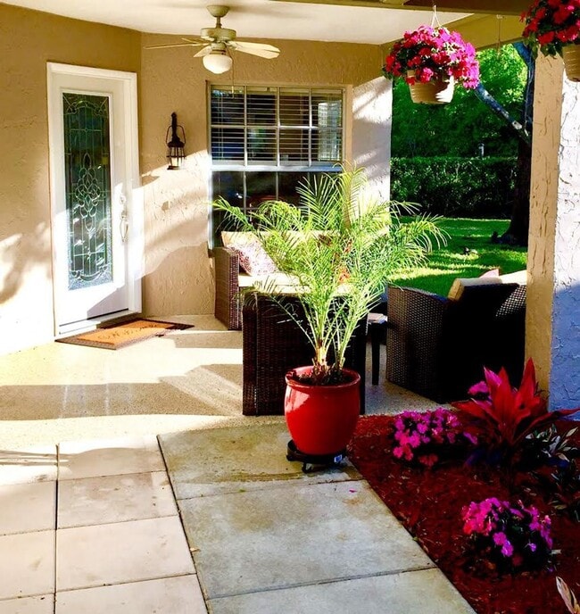 Photo - Beautiful 2 bed 2 bath in New Port Richey ... House