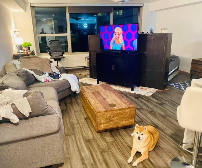 Studio layout 2 - 3600 N Lake Shore Dr