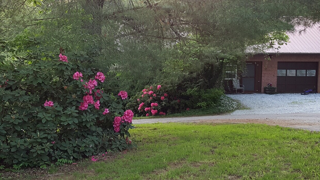 Pompano Beach FL - El 23Hundred 3 - 9835 Bryson City Rd