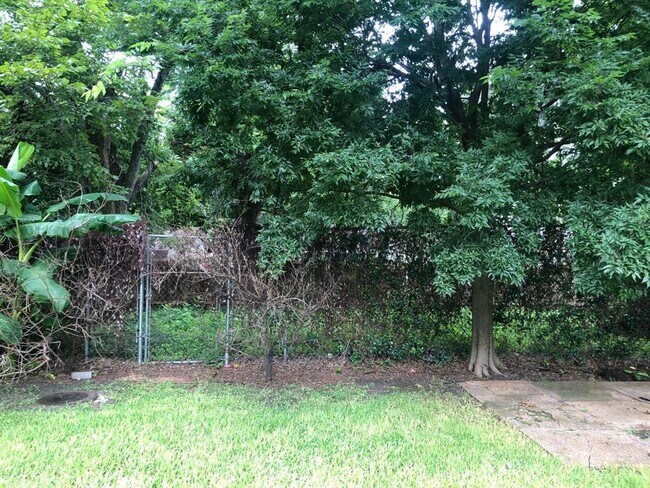 Building Photo - 1209 Confederate Rd