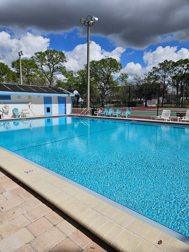 Photo - 129 Camphor Cir (Oldsmar, FL)