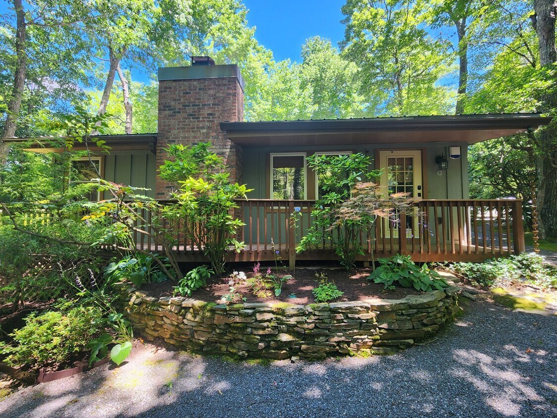 Primary Photo - Black Mountain Cottage!