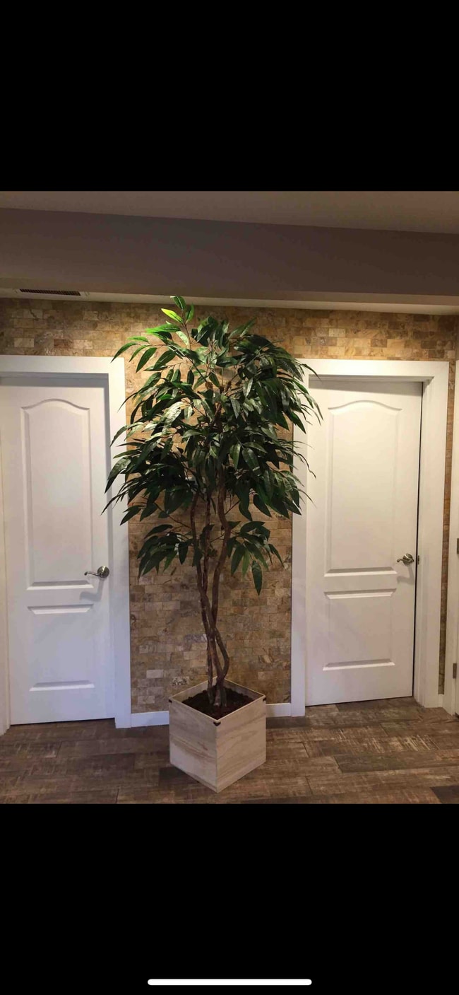 Hallway - 915 N Lowell St