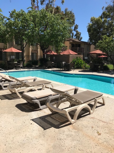 Piscina con terraza - Country Club Gardens