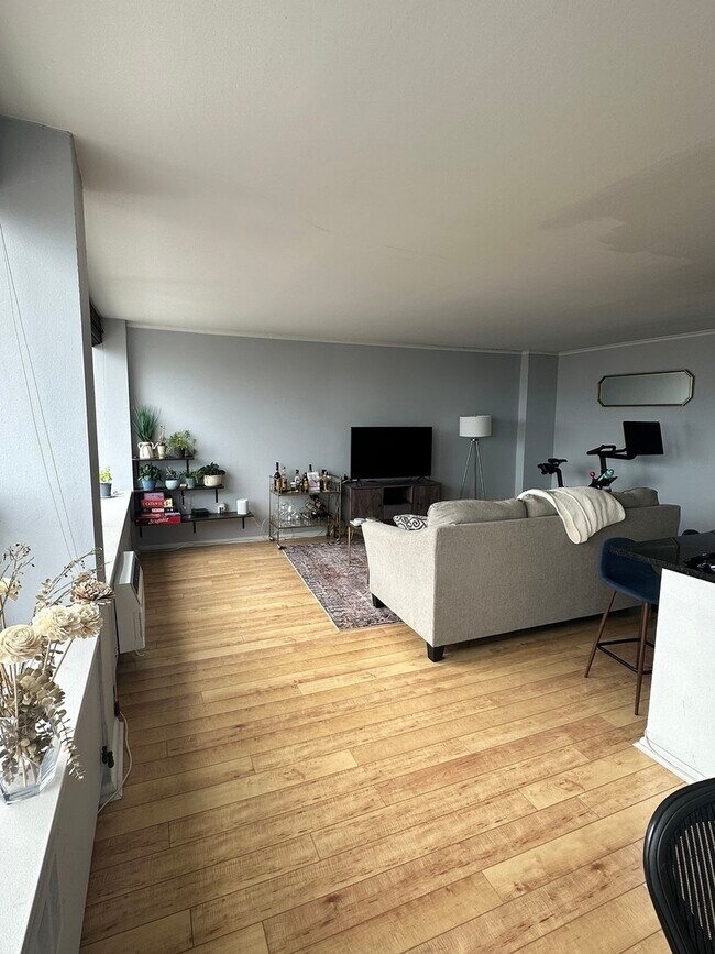 Foto del edificio - 1455 N Sandburg Terrace