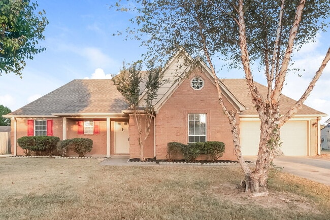 Building Photo - 7338 Lee Ann Dr