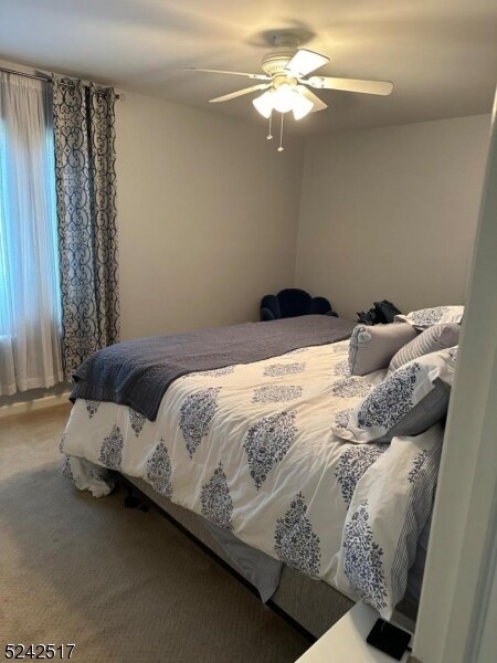 Building Photo - 337 Alpine Ct