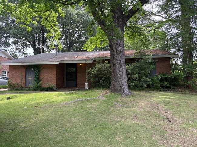 Building Photo - Lovely home!