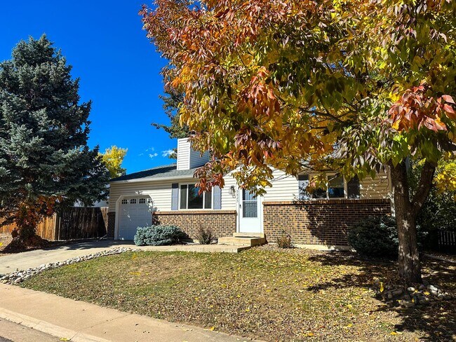Building Photo - Updated Single-Family Home in Littleton