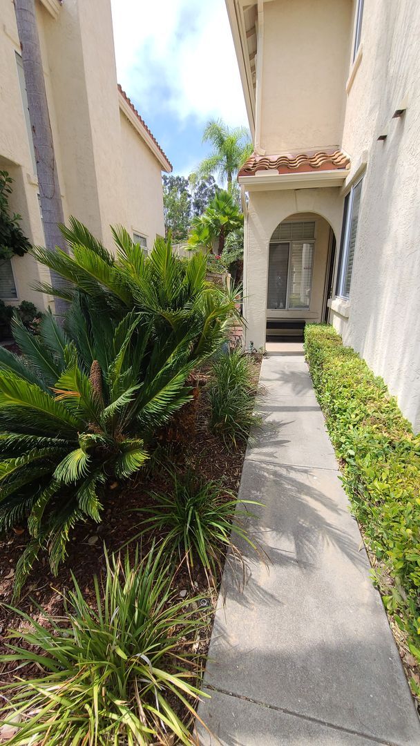 Building Photo - Scripps Ranch Townhome in Campton
