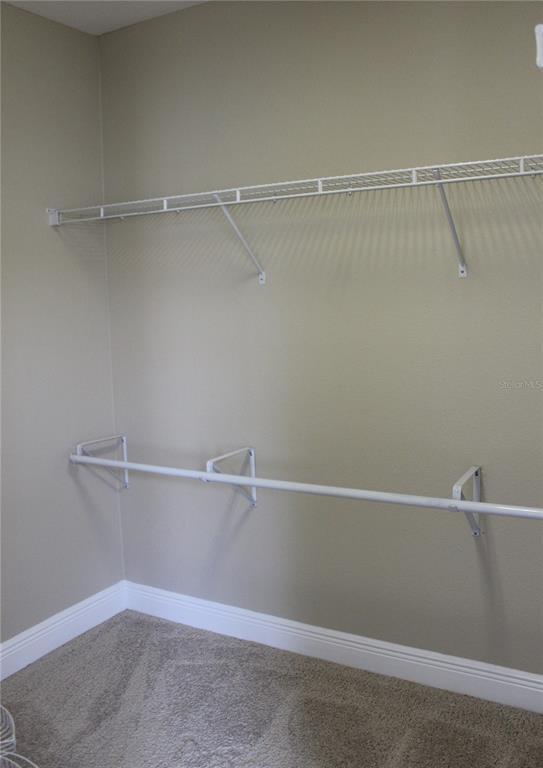 Building Photo - 610 Olive Tree Ct