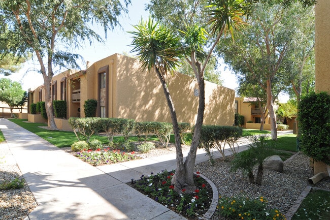 Building Photo - Spacious Condo near Old Town Scottsdale