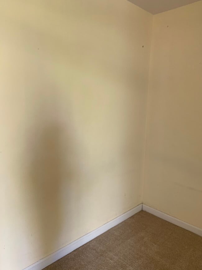 Building Photo - 1505 Kewalo St
