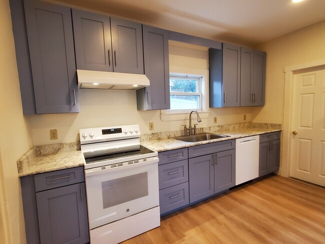 Brand new kitchen granite countertops, induction stove, dishwasher, disposal, new floor! - 484 Main St Apartment