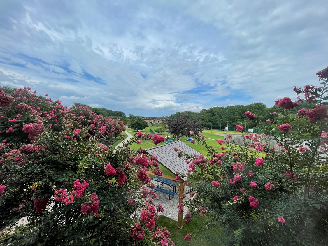 Autumn Ridge Apartments 1501 Little Gloucester Rd Blackwood, NJ