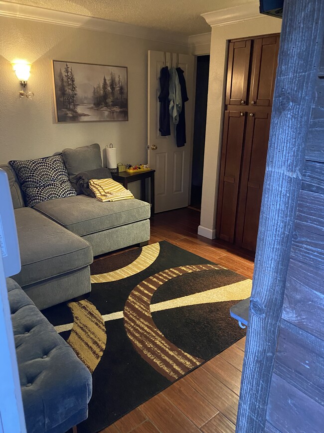 Living room & kitchenette - 156 Silvey Acres Dr