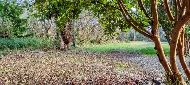 Foto del edificio - 711 N Third St