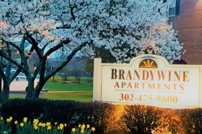 Foto principal - Brandywine Apartments