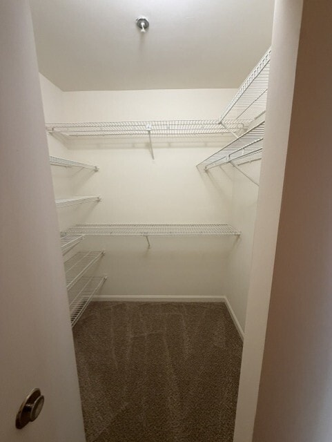 Interior Photo - Merion