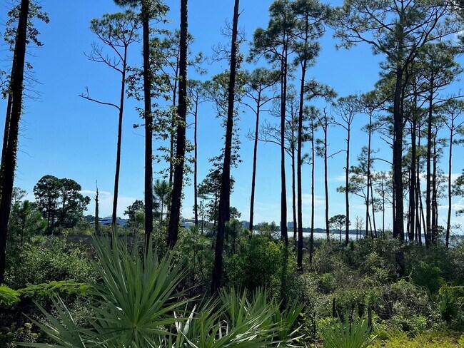 Building Photo - 9600 Grand Sandestin Blvd