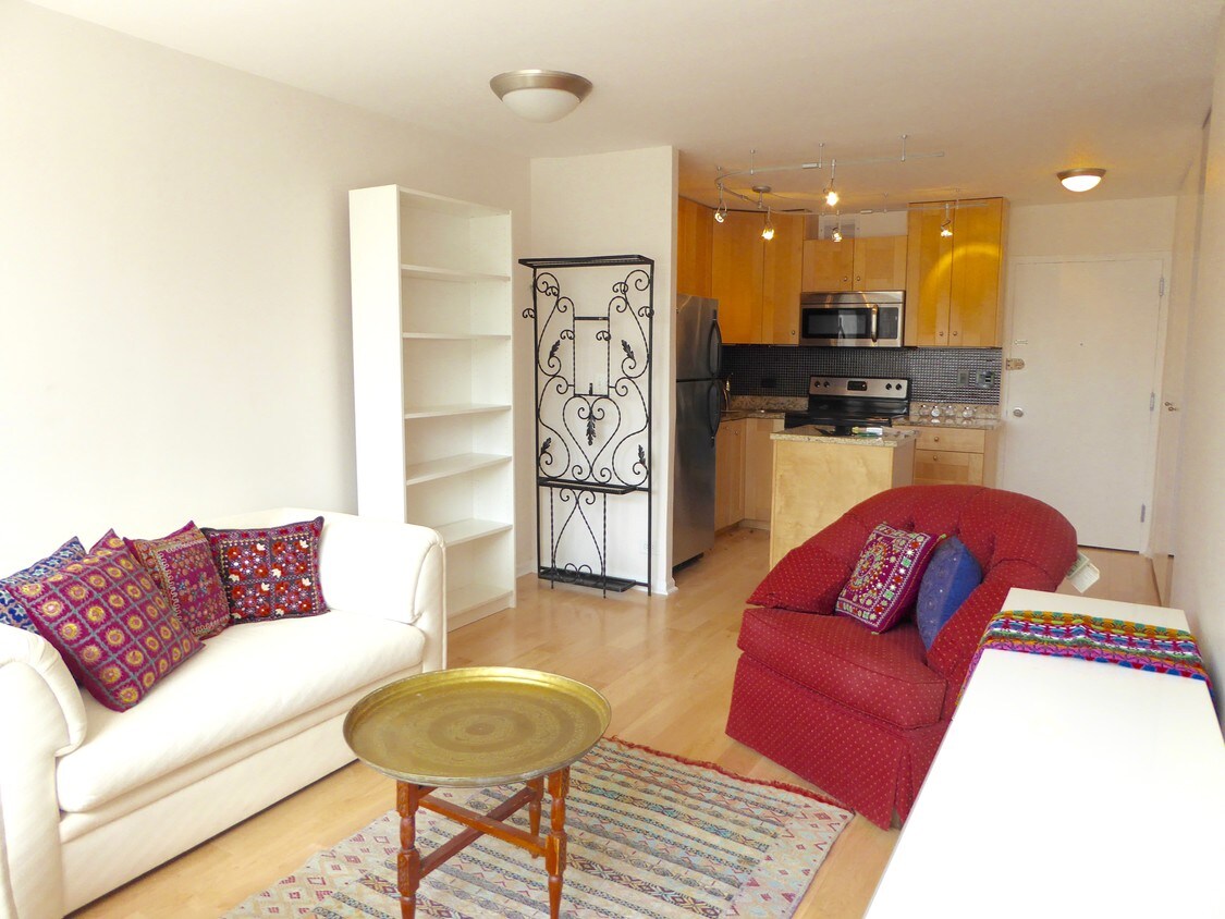 1360 N Sandburg Terrace, Chicago, IL 60610 Condo for Rent in Chicago