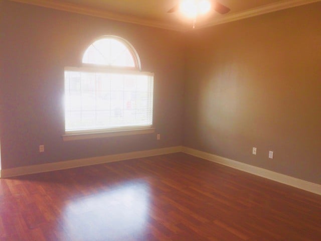 Living Room - 2202 Aubin Ln