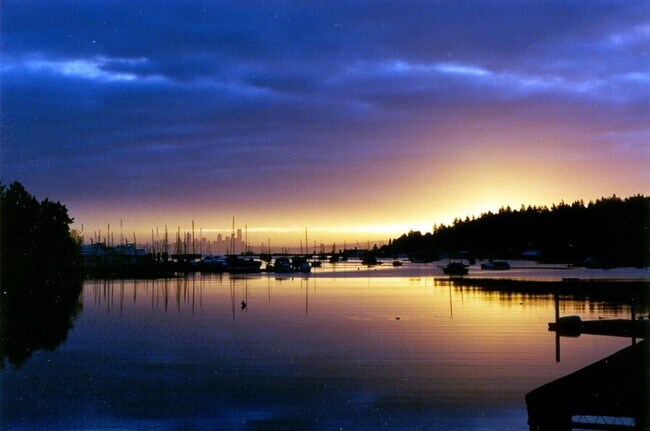 Foto del edificio - 6246 NE Eagle Harbor Dr