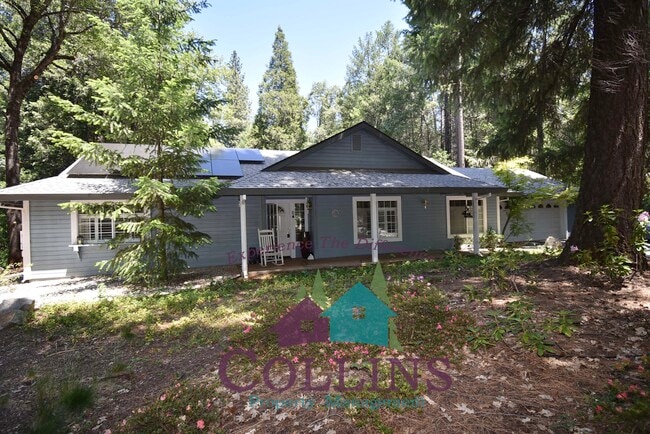 Building Photo - 12729 Bradford Dr