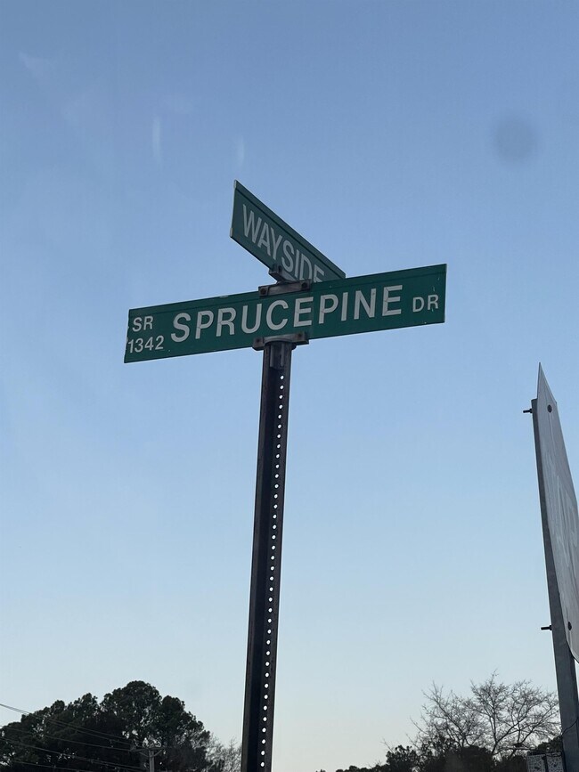Foto del edificio - 212 Sprucepine Dr