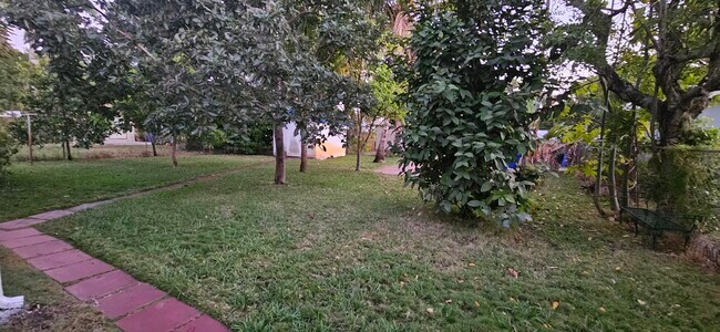 Patio trasero - 1948 Roosevelt St