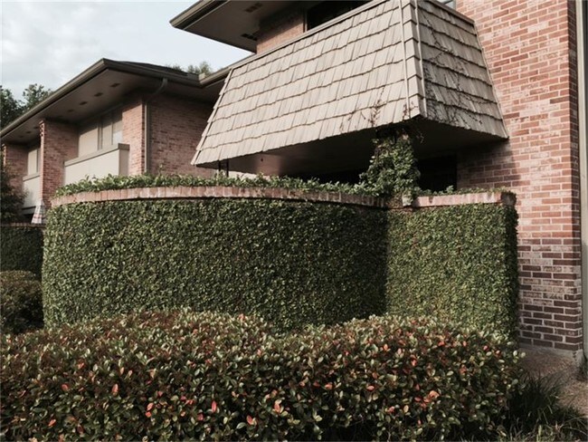 Foto del edificio - 668 S Ripple Creek Dr