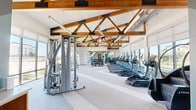 This fitness center is a thoughtfully designed workout facility that combines rustic architectural charm with modern amenities. The defining architectural feature is the dramatic vaulted ceiling, adorned with exposed natural wood truss frameworks accented by black metal hardware, which lend a warm, lodge-inspired aesthetic to the otherwise contemporary space. Sleek linear pendant lighting runs alongside the trusses, providing ample illumination throughout.

Large floor-to-ceiling windows line multiple walls, flooding the interior with natural light and offering open views of the surrounding outdoor landscape. Full-length mirrored walls expand the sense of space and assist users during workouts. The flooring features a neutral, striped carpet tile pattern that adds visual texture while providing comfort underfoot.

The facility is outfitted with a robust selection of commercial-grade equipment from brands including TRUE and Hoist. A row of treadmills and elliptical machines is positioned along the windowed wall, offering outdoor views during cardio sessions. A well-stocked dumbbell rack with adjustable benches supports free weight training, while multi-station cable machines and strength equipment provide full-body workout options. A bold geometric teal and white accent wall adds a dynamic visual focal point, and ceiling fans ensure comfortable airflow throughout this generously proportioned fitness space.
