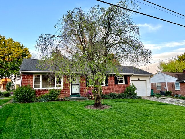 Building Photo - 117 Elmwood Rd