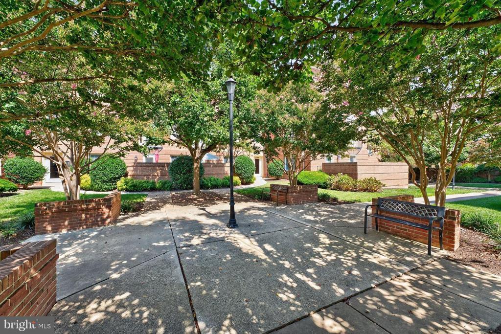 Primary Photo - 1209 N Pitt St