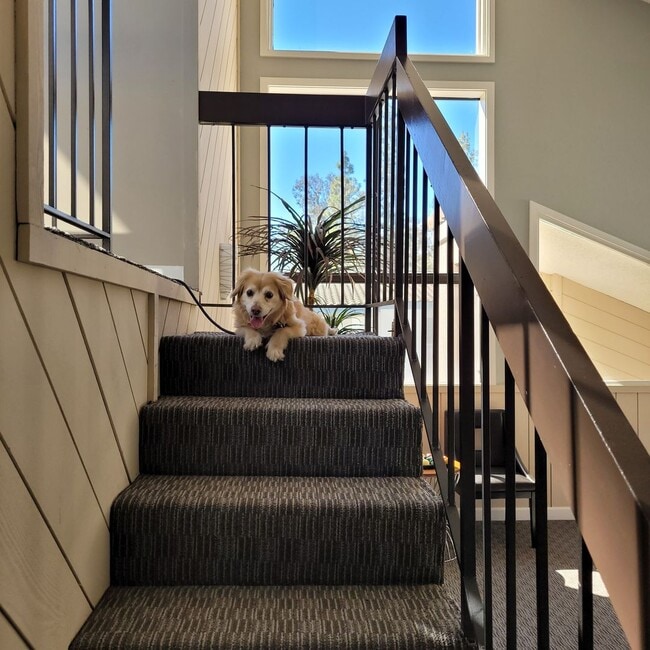 Interior Photo - Ashwood Gardens