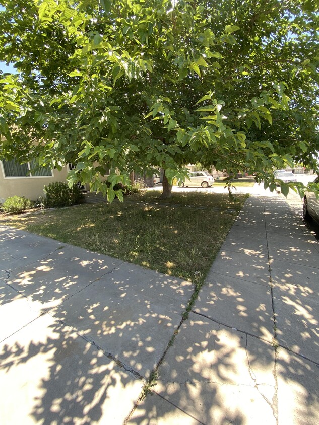 Primary Photo - 300 Haybert Ct