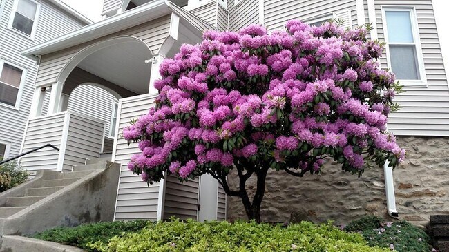 Foto del edificio - 7 Jones st