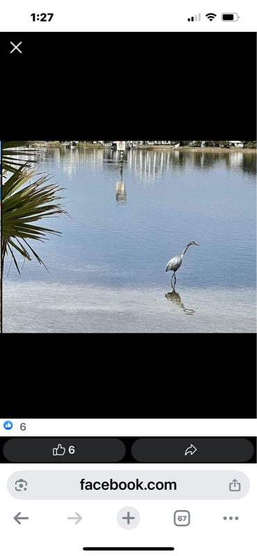 Building Photo - 336 Fort Pickens Rd
