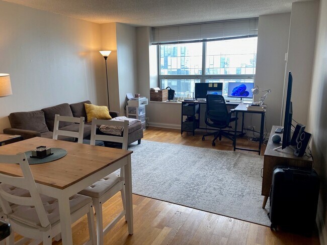 Foto del edificio - 474 N Lake Shore Dr