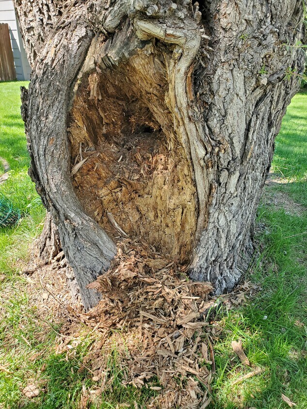 13180 Murdock Ter, Eden Prairie, MN 55347 Townhome Rentals in Eden