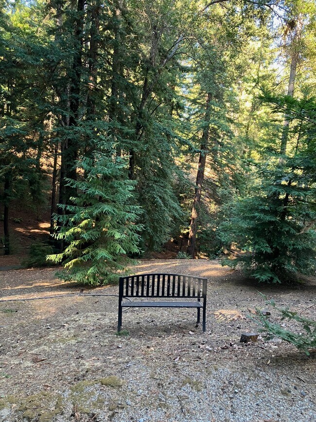 Meditate amongst the Redwoods - 729 Glenwood Cutoff