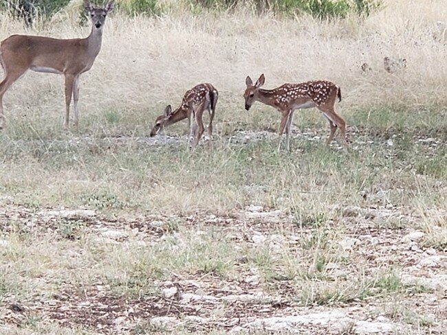 Foto del edificio - 143 River Ranch Rd