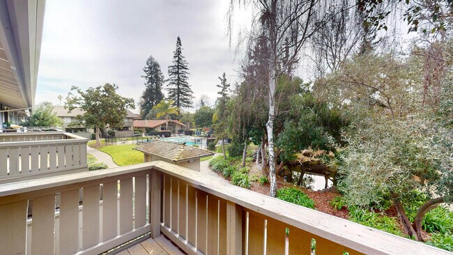 Interior Photo - Birch Creek