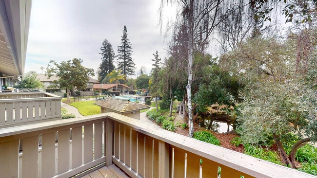 Interior Photo - Birch Creek